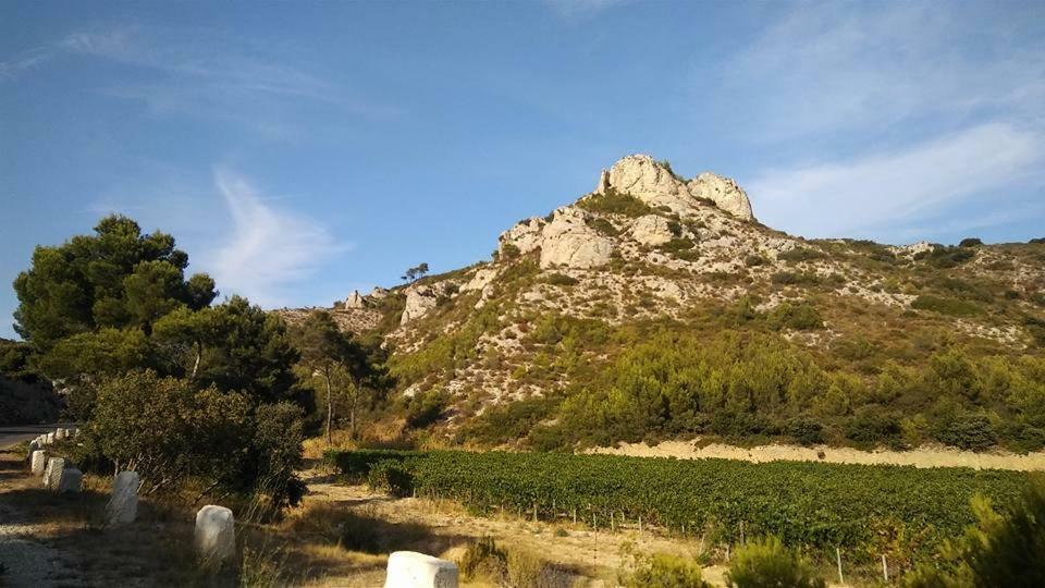 Le Lapin Blanc Apartman Saint-Rémy-de-Provence Kültér fotó